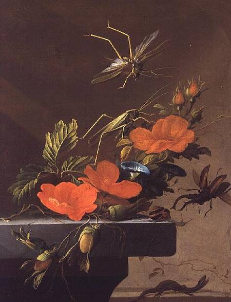 A Bouquet of Roses, Morning Glory and Hazelnuts with Grasshoppers, Stag Beetle and Lizard von Elias van den Broeck