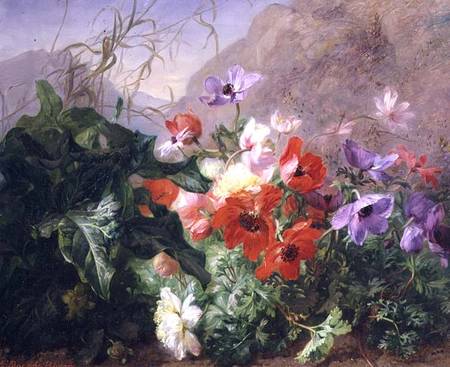 Still Life of Anemones in Undergrowth von Elise Puyroche-Wagner