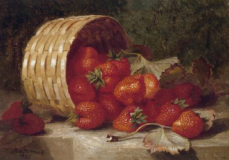 Erdbeeren in einem Korb 1895