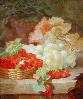 Still Life 1884