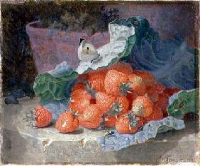 Strawberries in a Cabbage Leaf with a Flower Pot Behind 1881