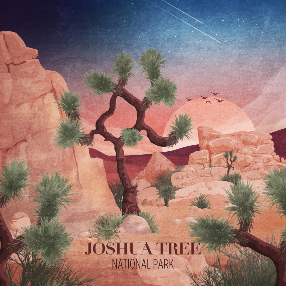 Joshua Tree von Emel Tunaboylu