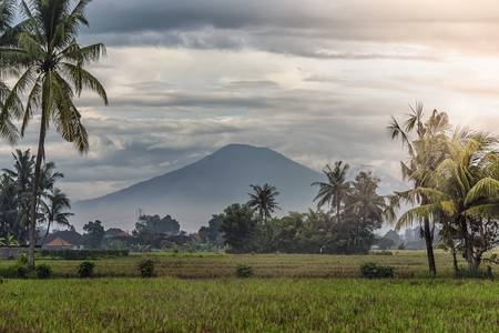Bali Landscape 2019