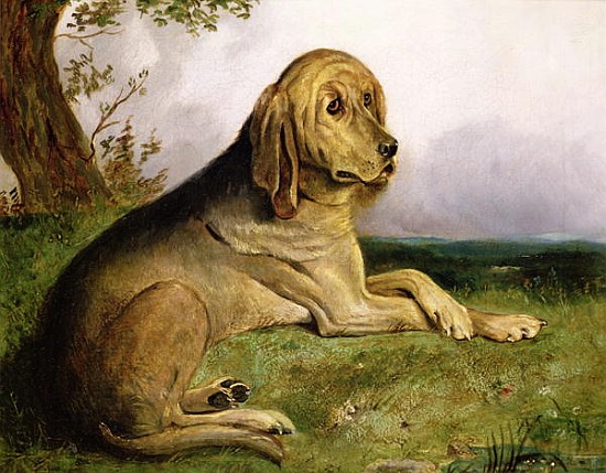 A Bloodhound in a Landscape von English School