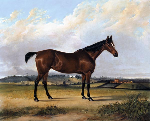 The Pride of the Stable von English School