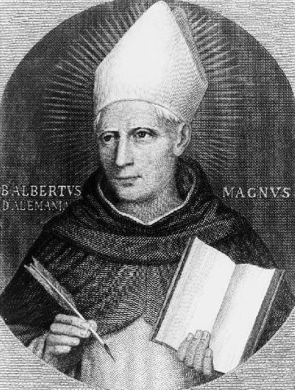 St Albertus Magnus