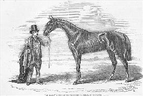''My Mary'', winner of the Yorkshire Handicap at Doncaster, from ''The Illustrated London News'', 4t