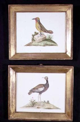 A Woodpecker and a Grouse c.1800  on