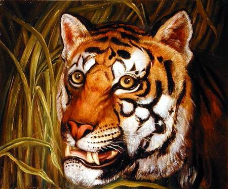 Tiger, tiger burning bright... von English School