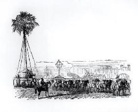 A palm tree being transported to Hyde Park for the Great Exhibition, London, 1851 (engraving) (b/w p 1921