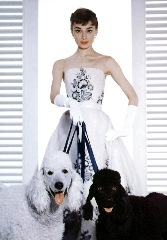 SABRINA de BillyWilder avec Audrey Hepburn von English Celebrities Photographer