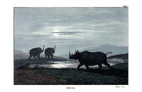 Rhinoceros 1860