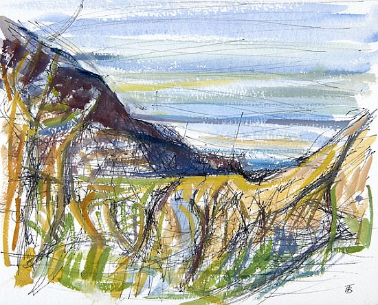 Towards Marsland Mouth, North Devon (pen and ink and and on paper) von Erin  Townsend