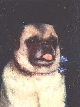 A Pug, 1895 (board) 