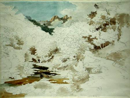 Woodland near Massa (pencil and w/c on paper) von Ernst Fries