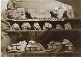 Ausgrabung von Samarra (Irak): Fragmente eines Frieses mit Kamelfiguren aus dem Palast des Kalifen