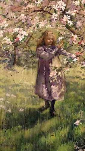 Picking Apple Blossom 1901  on