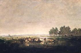 Marshland in Les Landes c.1853