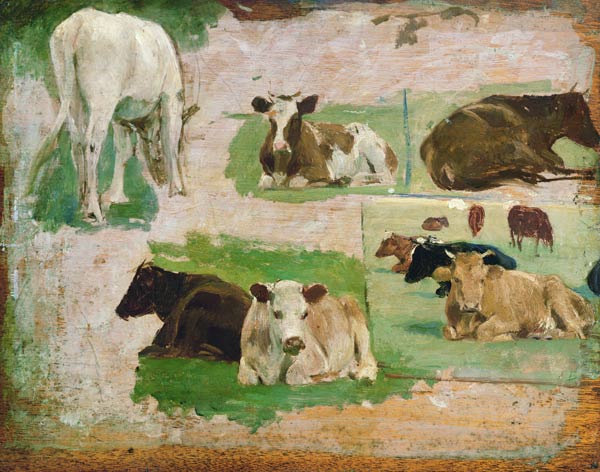 Study of Cows von Eugène Boudin