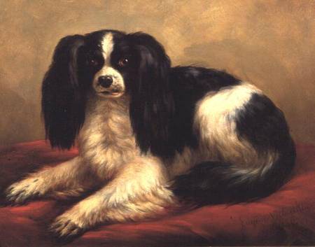A King Charles Spaniel Seated on a Red Cushion von Eugène Joseph Verboeckhoven