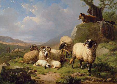 Sheep in a Landscape 1863