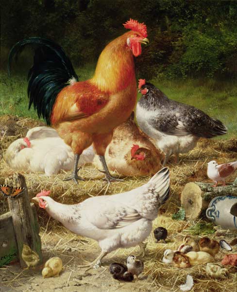 Chickens von Eugène Remy Maes