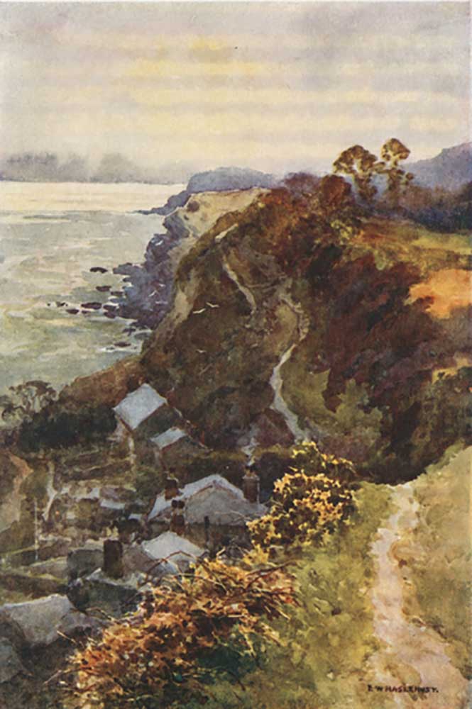 Steephill Cove von E.W. Haslehust
