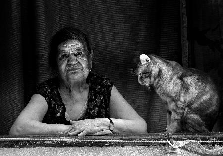 Dame am Fenster mit ihrer Katze