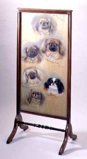 Head studies of Pekinese dogs, mounted as a fire screen