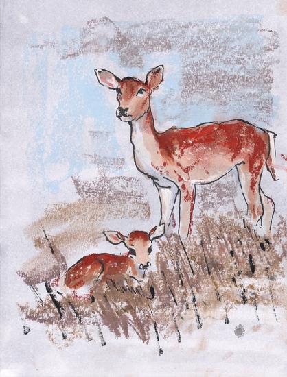 Doe with Fawn 2014