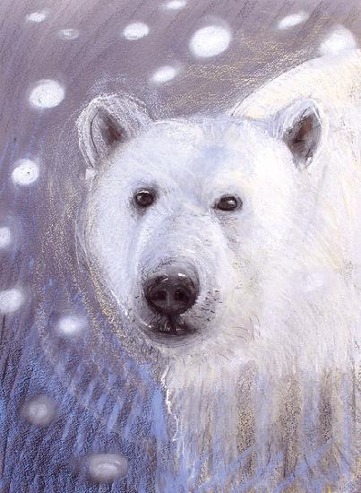 Polar Bear 2015
