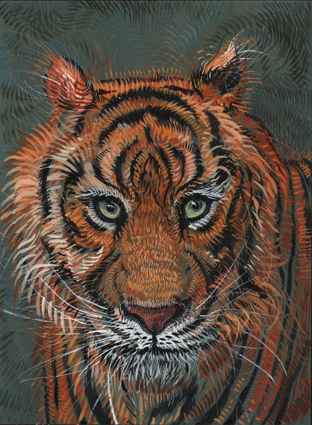 Tiger 2 von Faisal Khouja