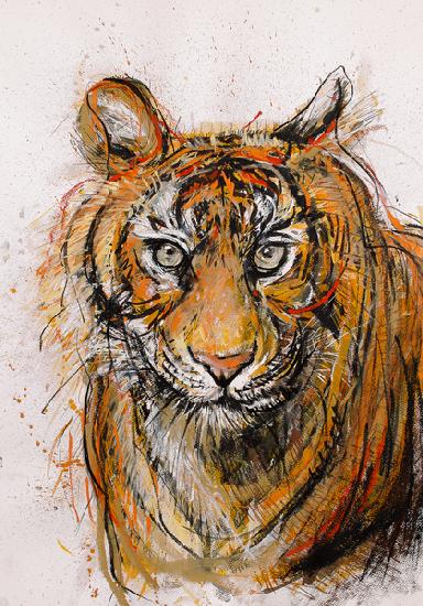 Tiger 2013
