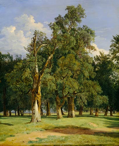 Elm trees in Prater von Ferdinand Georg Waldmüller