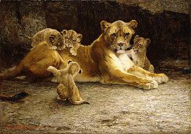 Eine Löwin mit ihren Jungen, 1913 1913