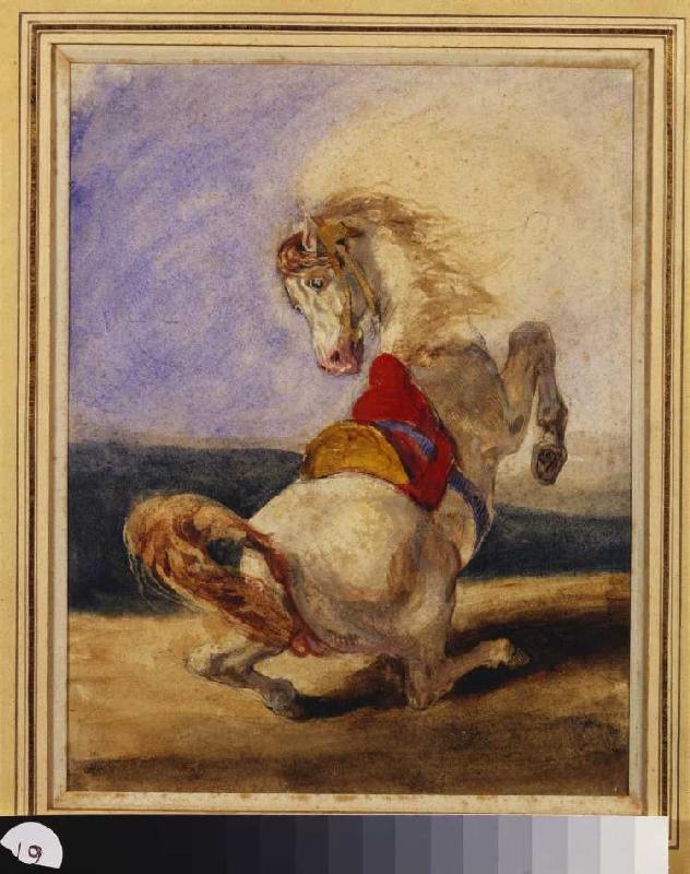 Aufbäumendes Pferd. von Ferdinand Victor Eugène Delacroix