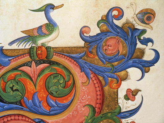 Missal 515 f.92v Zoomorphic foliage with duck-like bird and butterfly, detail of decoration surround von Filippo di Matteo Torelli