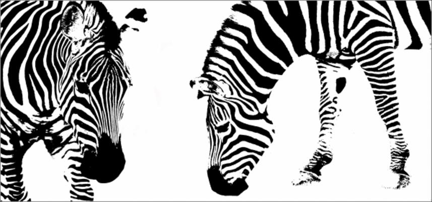 Zebra abstract II von Flemming Jacobsen
