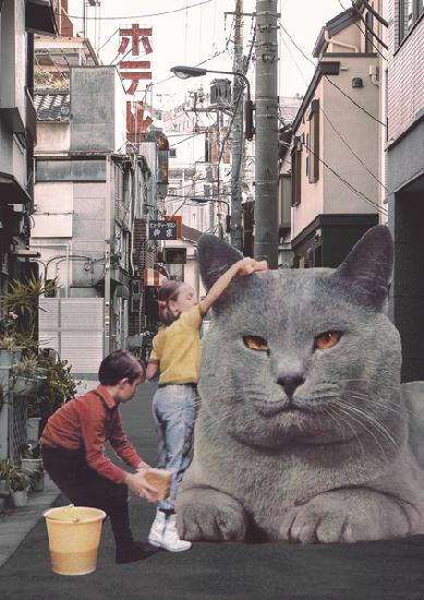 Children washing a giant Cat in Tokyo Streets 2020