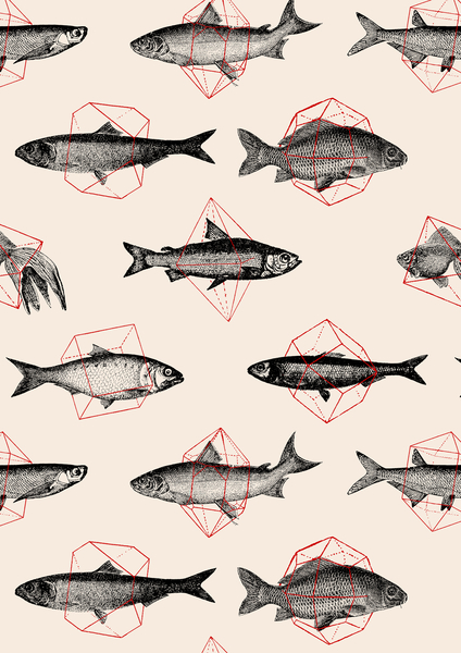 Fishes in Geometrics von Florent Bodart