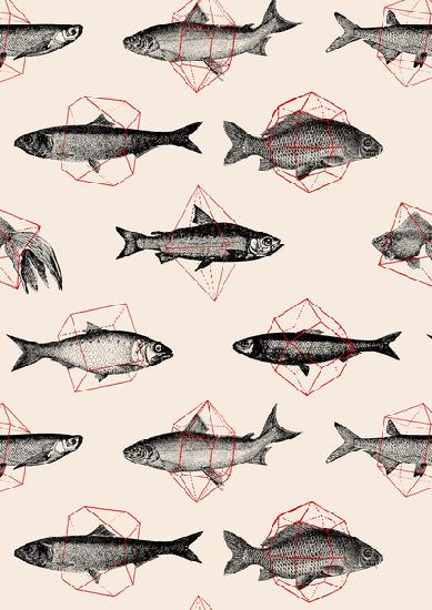 Fishes in Geometrics 2016