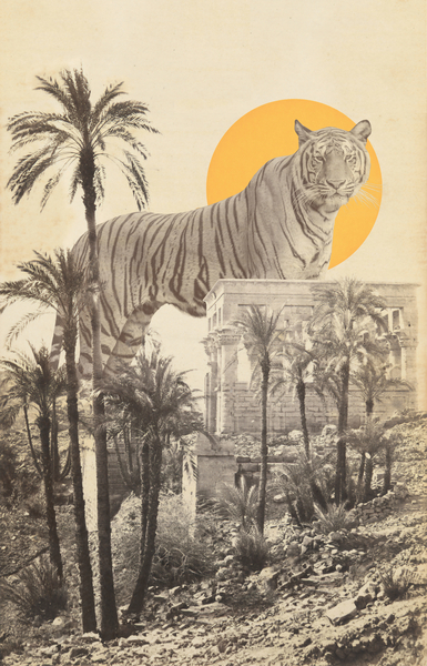 Giant Tiger in Ruins and Palms von Florent Bodart