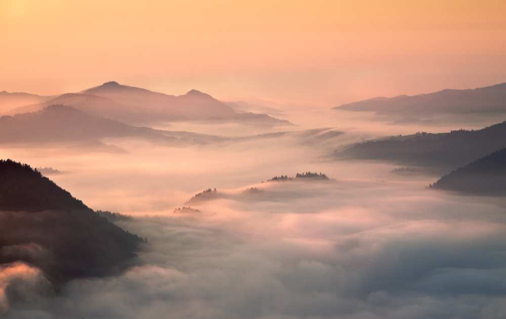 foggy morning in the mountains von Przemyslaw Kruk fproject