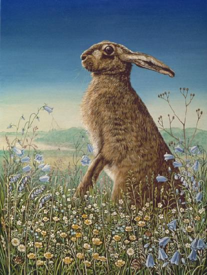 Hare 1984