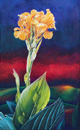 Yellow Canna Lily 1991