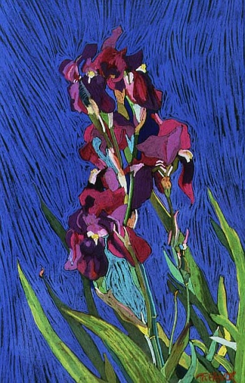 Irises von  Frances  Treanor