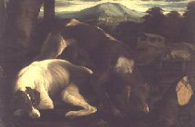 Two Hunting Dogs c.1555