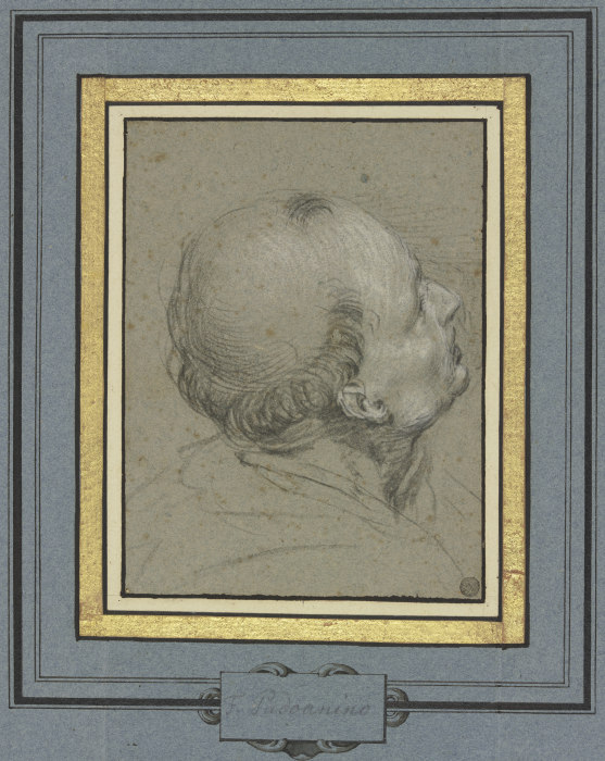 Mönchskopf im verlorenen Profil nach rechts, in die Höhe blickend von Francesco Padovanino