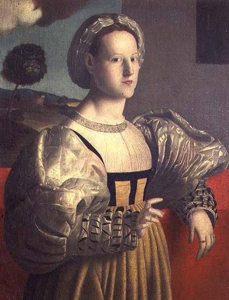 Portrait of a lady von Francesco Ubertini Verdi Bachiacca