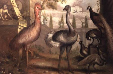 Collection of Birds von Francis Barlow